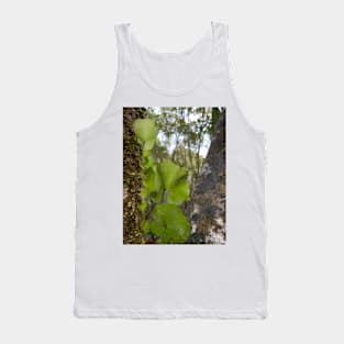 Kidney fern 1 Tank Top